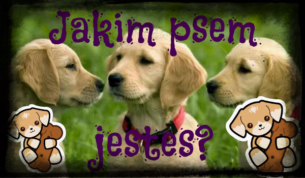 Jakim psem jesteś?