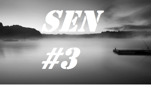Sen #3