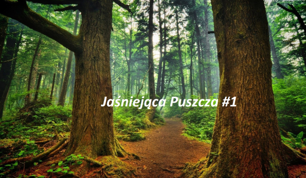 Jaśniejąca Puszcza #1