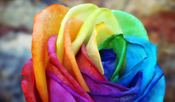 jakim jesteś kolorem