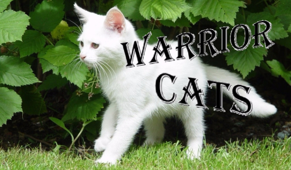 Warrior Cats-Rozdział IV