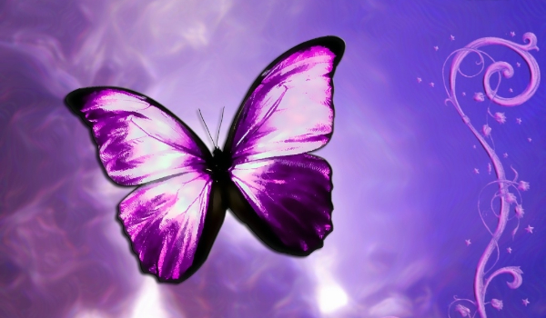 jakim kociaczkiem jesteś