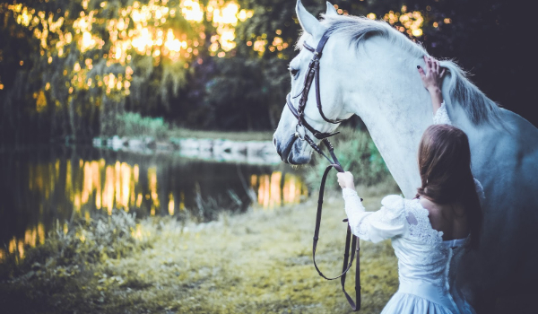 Quiz – Konie – Maści