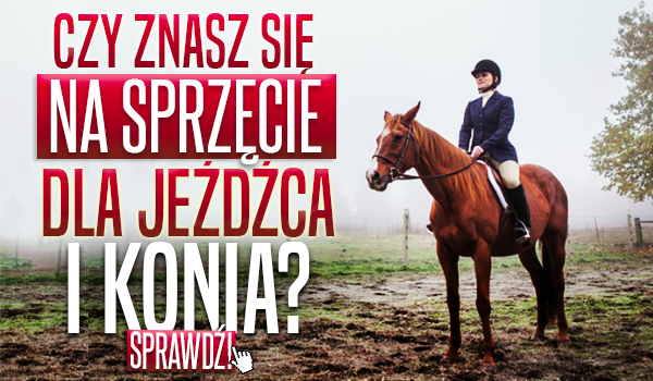 Czy znasz się na sprzęcie dla jeźdźca i konia?