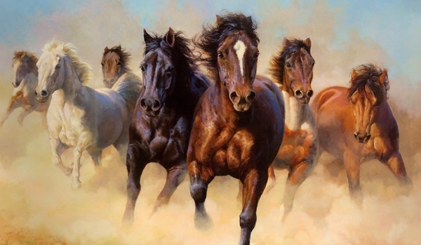 Ile wiesz o koniach?