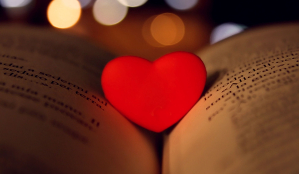 Charlotte – Dzień 4