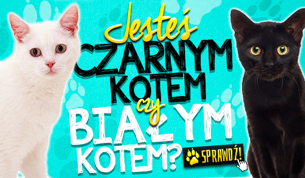 Jesteś bardziej Czarnym Kotem czy Białym Kotem?