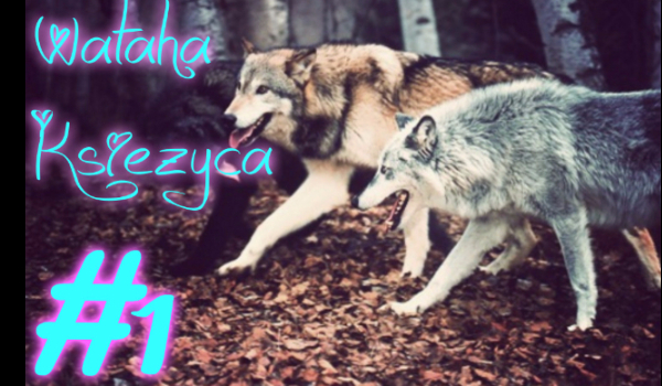 Wataha Księżyca #2