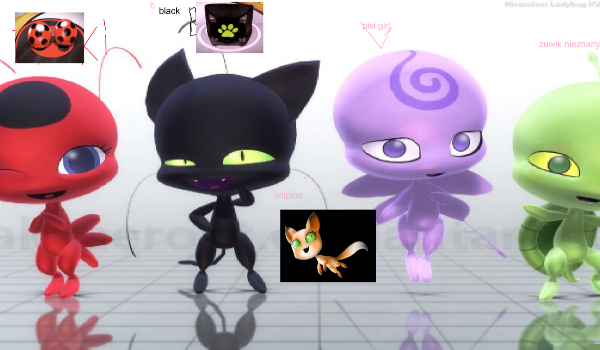 jakik jestesz quami?