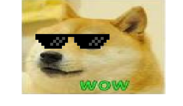 Jakim Piesełem jesteś?