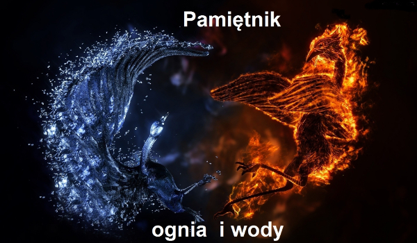 Pamiętnik ognia i wody #9