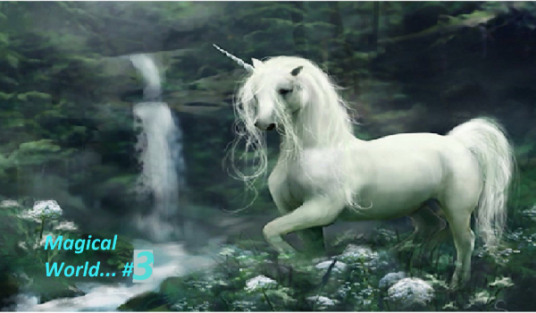 Magical World… #3