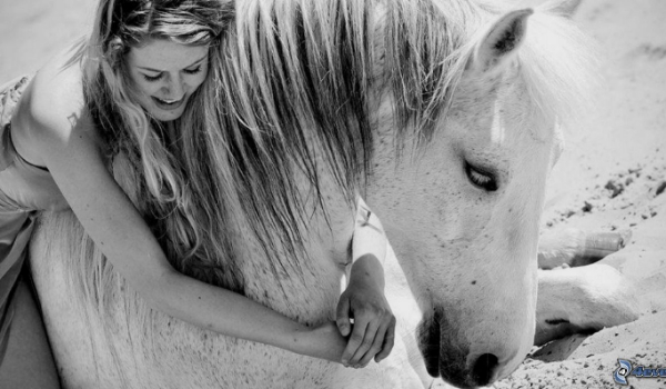 Nie sztuką jest kochać konie, sztuką jest sprawić by konie pokochały Ciebie… #1