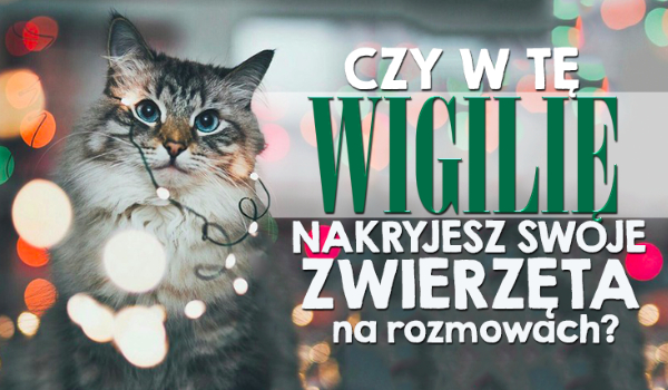 Czy w tę Wigilię nakryjesz swoje zwierzę na rozmowie z innymi?