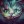 Smailmykitty