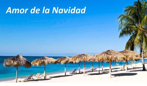 Amor de la Navidad #2