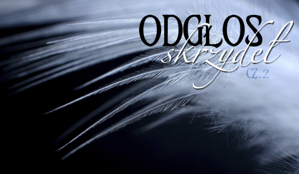 Odgłos skrzydeł #2