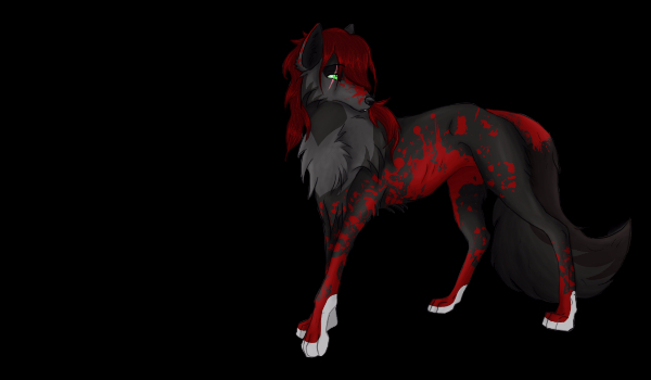 Fire Shadow – moja historia #4