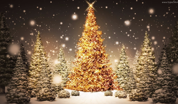 Blogmas-03.12.2016r.