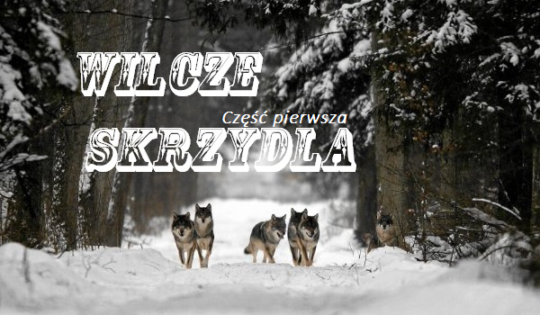 Wilcze skrzydła. #1