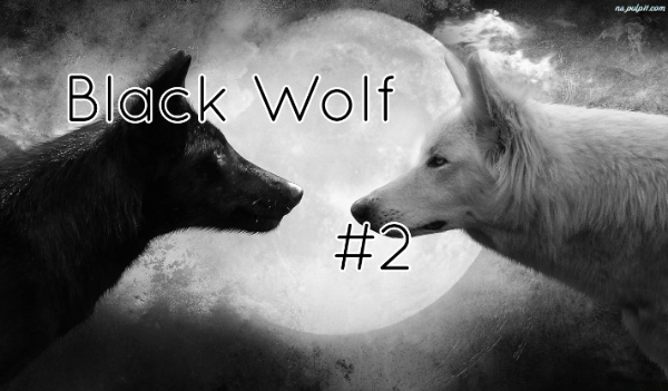 Black Wolf #2