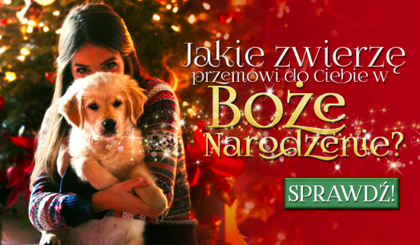 Jakie zwierzę przemówi do Ciebie w Boże Narodzenie?