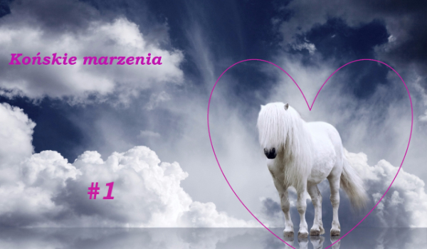 Końskie marzenia #1