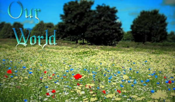 Our world #3