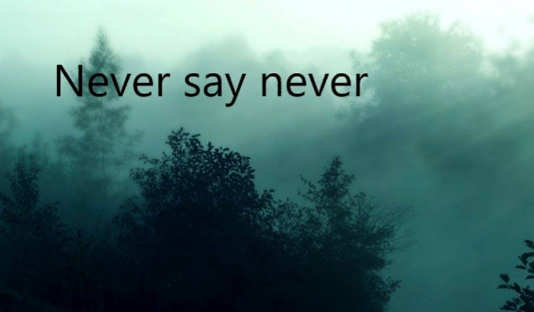 Never say never#postacie