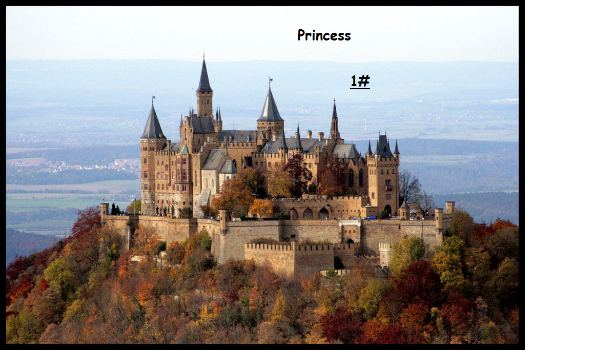 Princess 1#