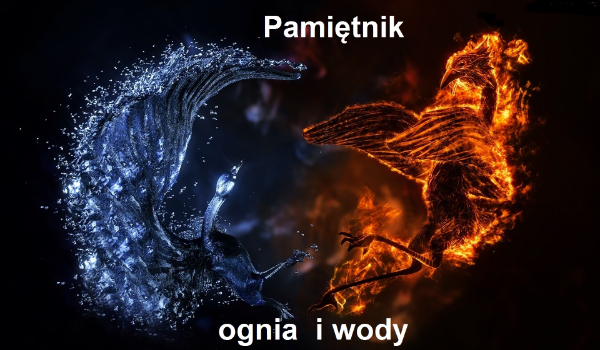 Pamiętnik ognia i wody #8
