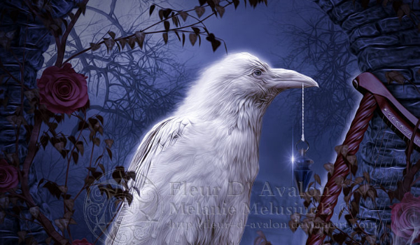 Jedna z niewielu cz.5