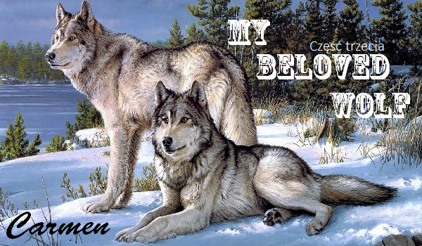 My beloved wolf-Carmen. #3