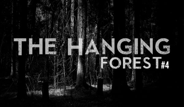The hanging forest #4