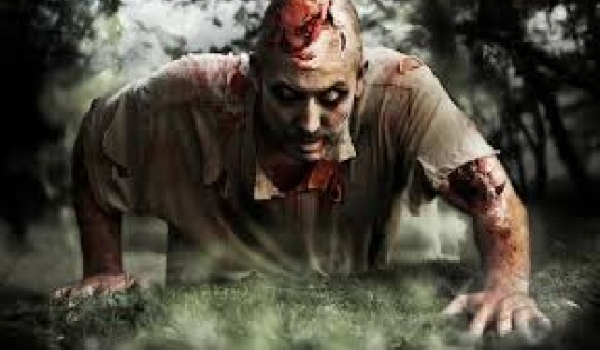 Zombie Apocalypse #1