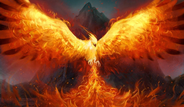 Po prostu Feniks. Walka. Pojawienie się trzech różnych Feniksów.