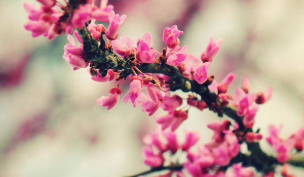 Królowa jednej nocy z YouTube #2