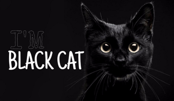 I’m Black Cat 2/2