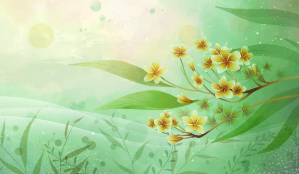 Życie jest dziwne 2