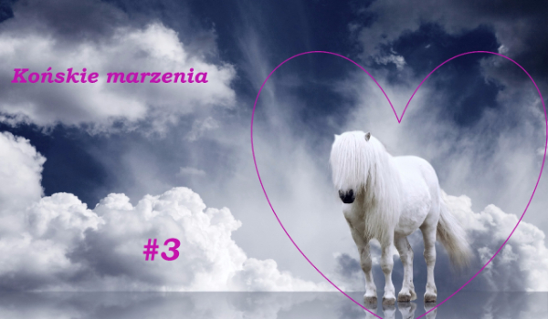 Końskie marzenia #3