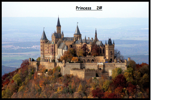 Princess 2 #