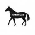 Koniara1233
