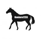 Koniara1233