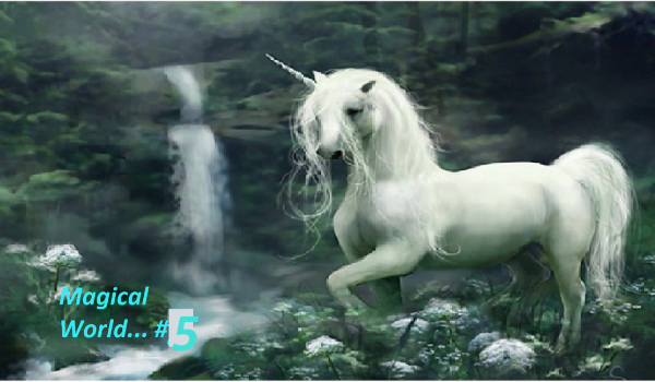 Magical World… #5