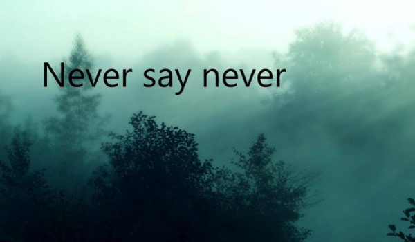 Never say never#2