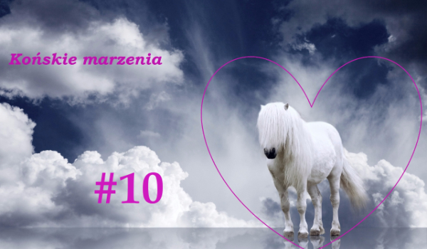 Końskie marzenia #10