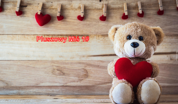 Pluszowy Miś