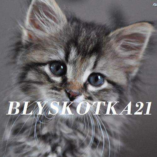 Blyskotka21