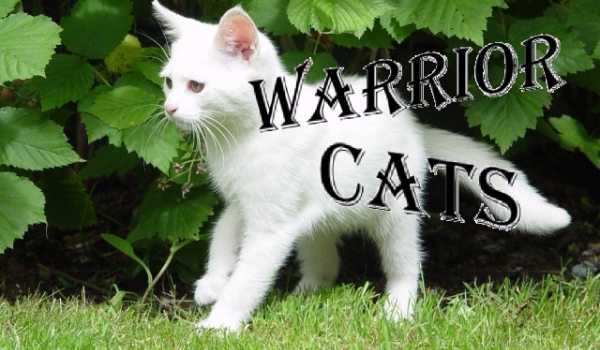 Warrior Cats-Rozdział VII