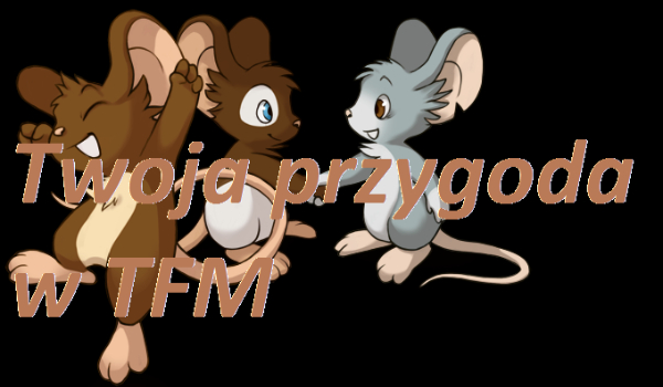 Twoja przygoda w świecie Tfm #1